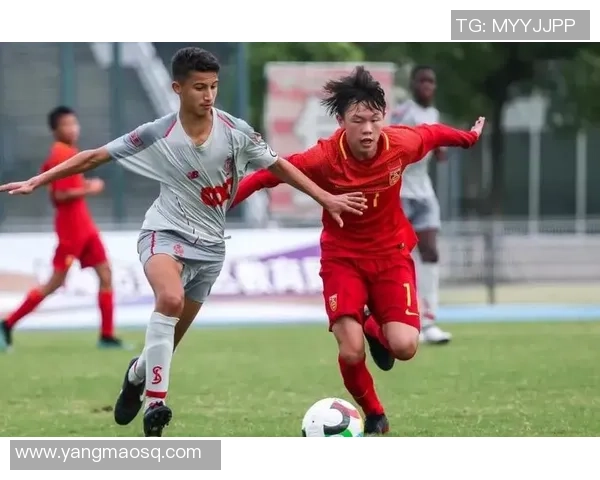 上海排球队的攻防转换分析与战绩影响探讨