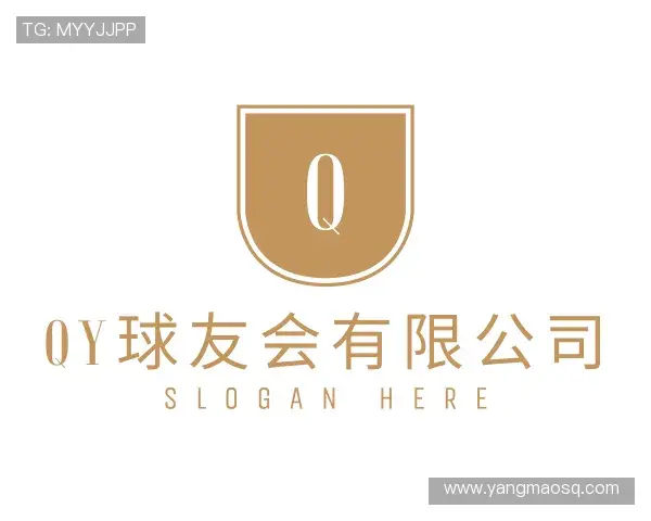 关于QY球友会